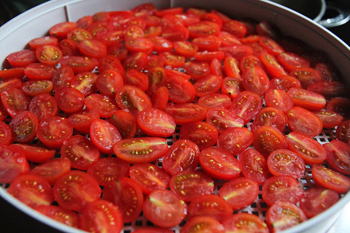 Tomatbakke med små tomater.