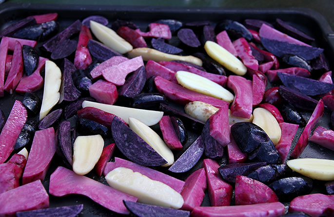 Pink, blå og gule kartofler klar til at komme i ovnen.