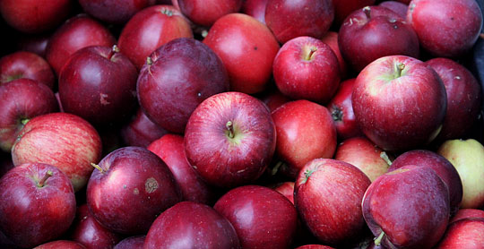 Spartan æbler har lidt sejt skind, men er dejligt søde. De er fine skåret ud til drys på morgenmaden.