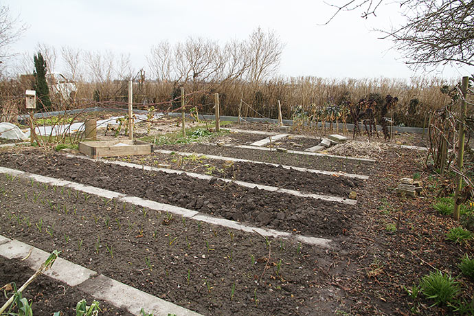 Køkkenhave sidst i marts - våd og kold jord.