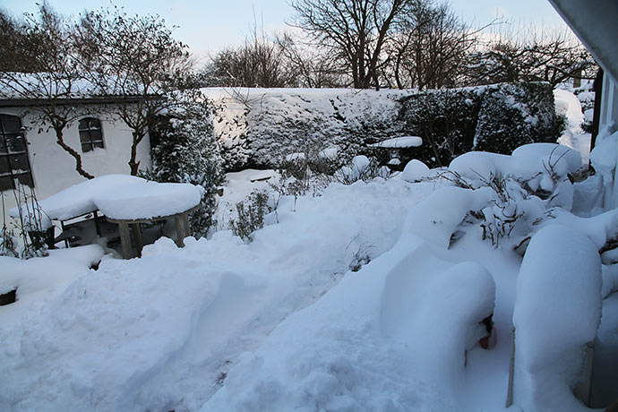 God morgen til en gård, hvor der er endnu mere sne end dagen før. Svært at finde et sted til mere sne.