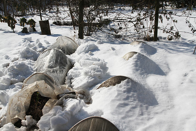 Løgtunnelerne blev gravet fri af sneen.